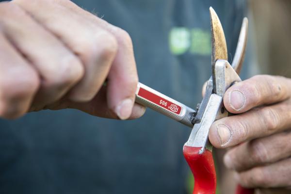 FELCO 905 | Werkzeug zum Schärfen, Schleifen und Einstellen, Feineinstellung